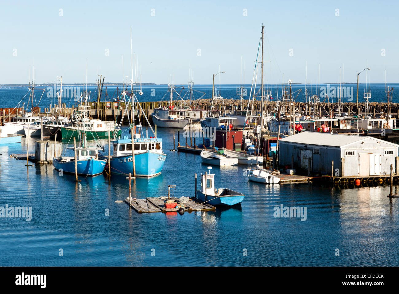 Testa Ingalis wharf, Grand Manan Island, Baia di Fundy, New Brunswick, Canada Foto Stock
