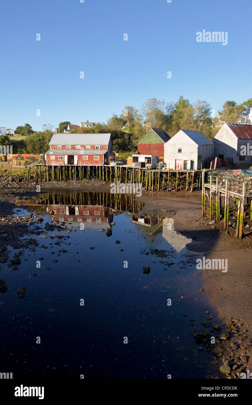 La guarnizione Cove a bassa marea, Grand Manan Island, Baia di Fundy, New Brunswick, Canada Foto Stock