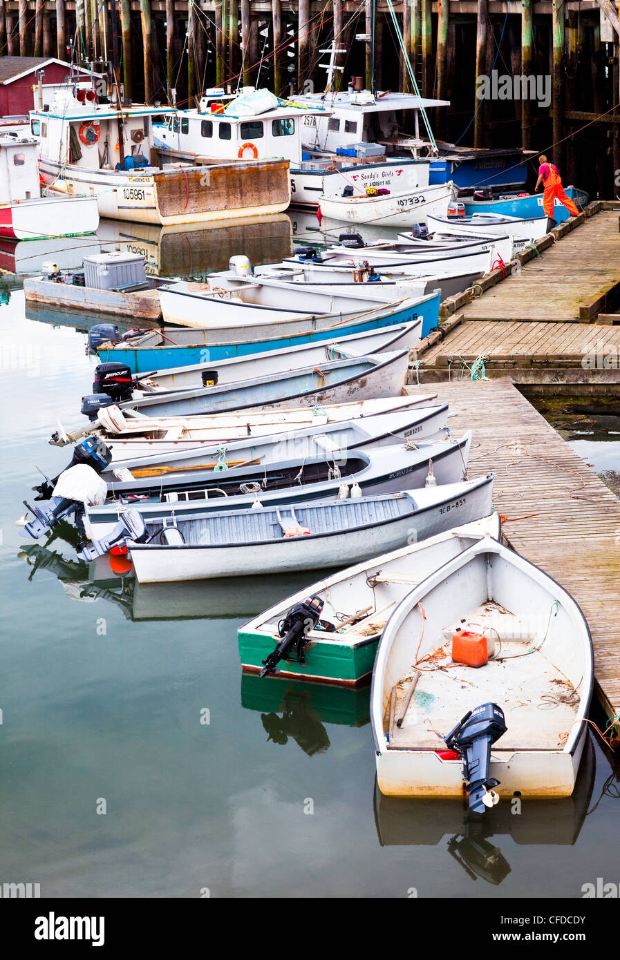 Dories, Leonardville wharf, cervi Isola, Baia di Fundy, New Brunswick, Canada Foto Stock