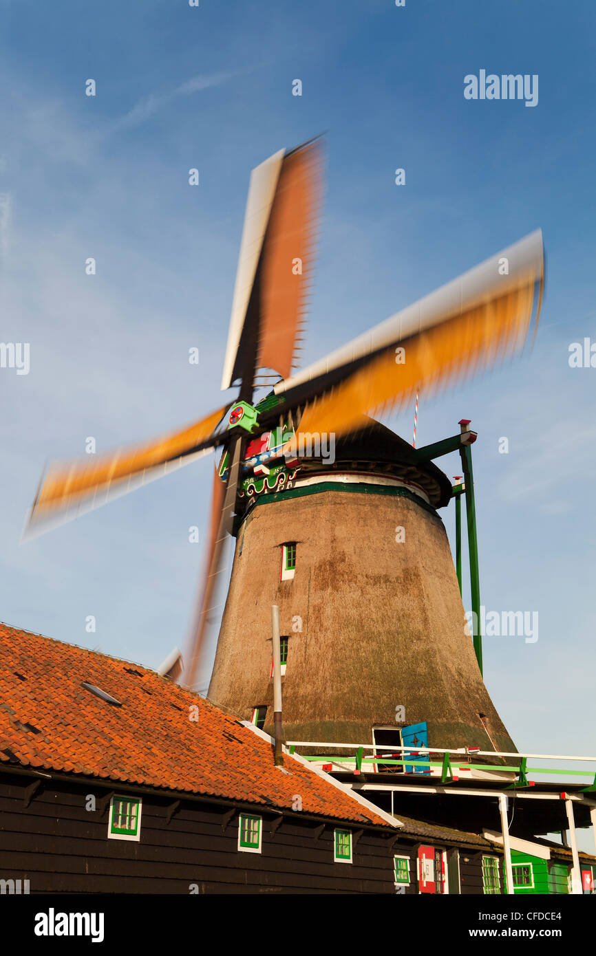 Mulini a vento di Zaanse Schans, Zaandam, Noord Holland, Olanda, Europa Foto Stock