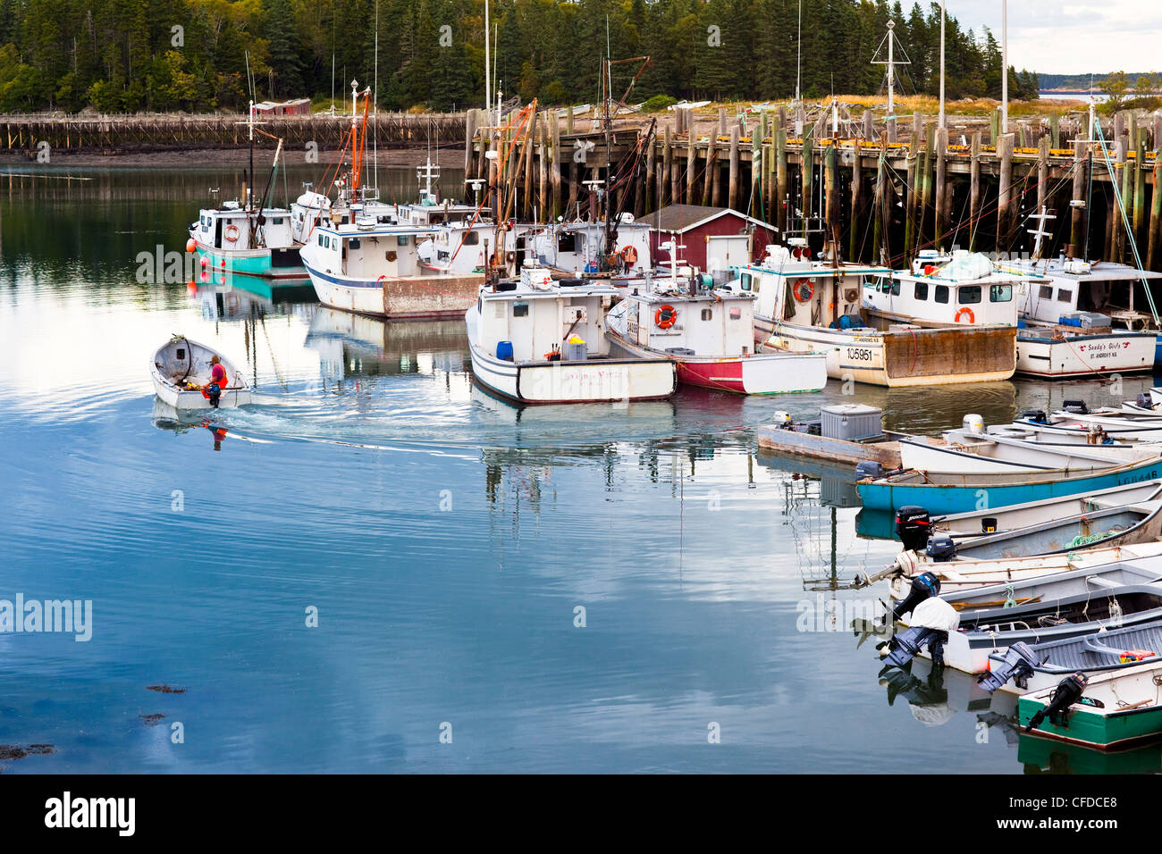 Dories, Leonardville wharf, cervi Isola, Baia di Fundy, New Brunswick, Canada Foto Stock