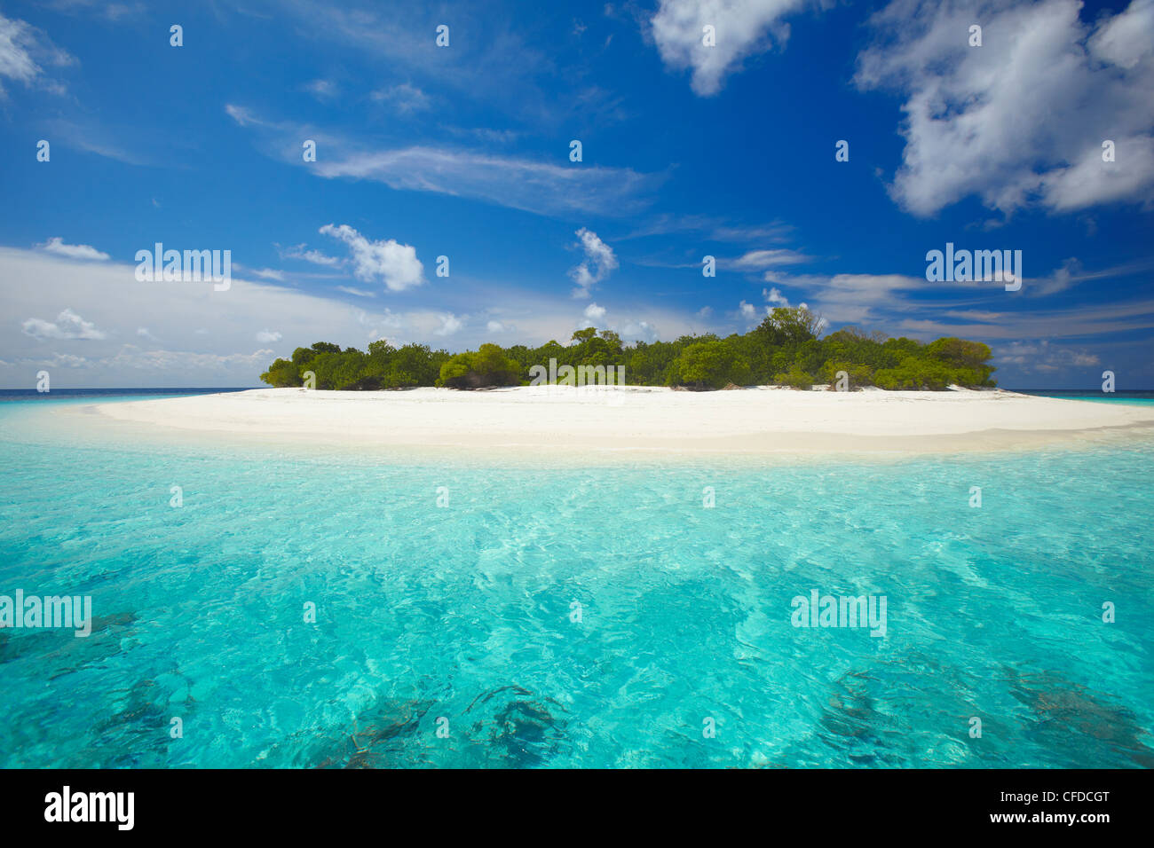 Isola disabitata, Maldive, Oceano Indiano, Asia Foto Stock