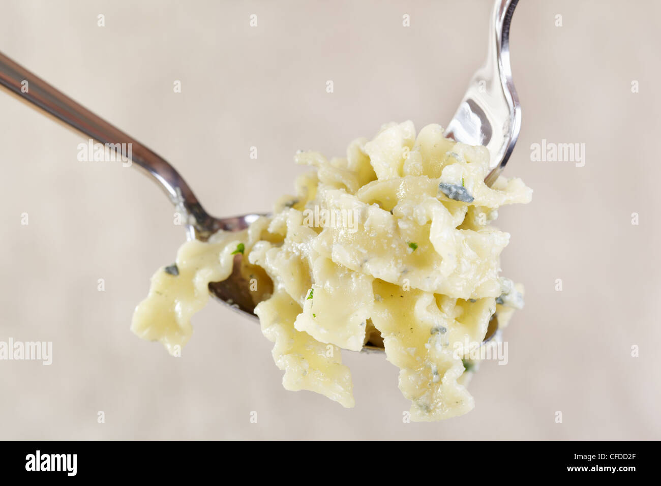 Pasta Foto Stock