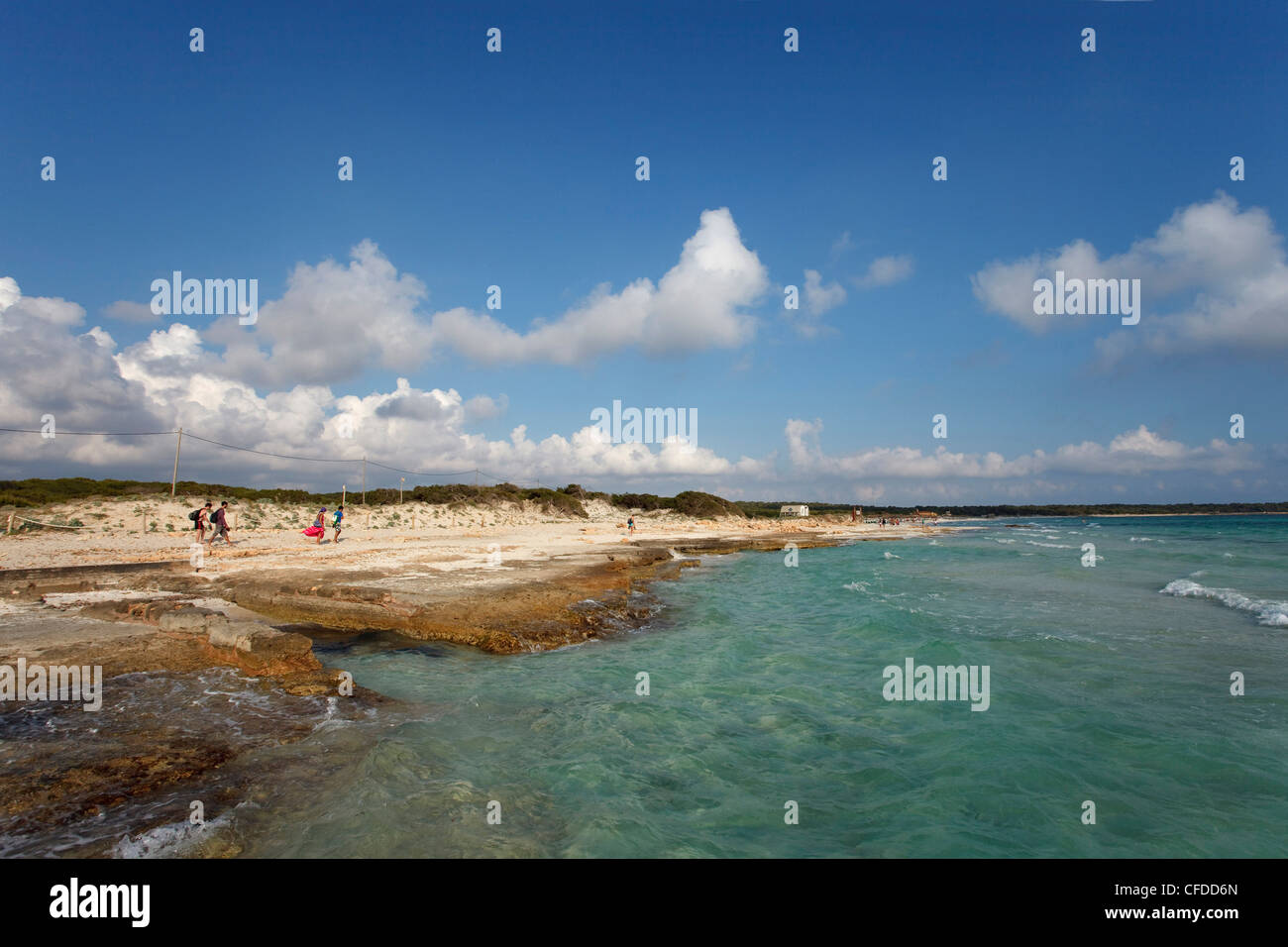 Es Trenc, playa, spiaggia, vicino a Colonia de Sant Jordi, Maiorca, isole Baleari, Spagna, Europa Foto Stock