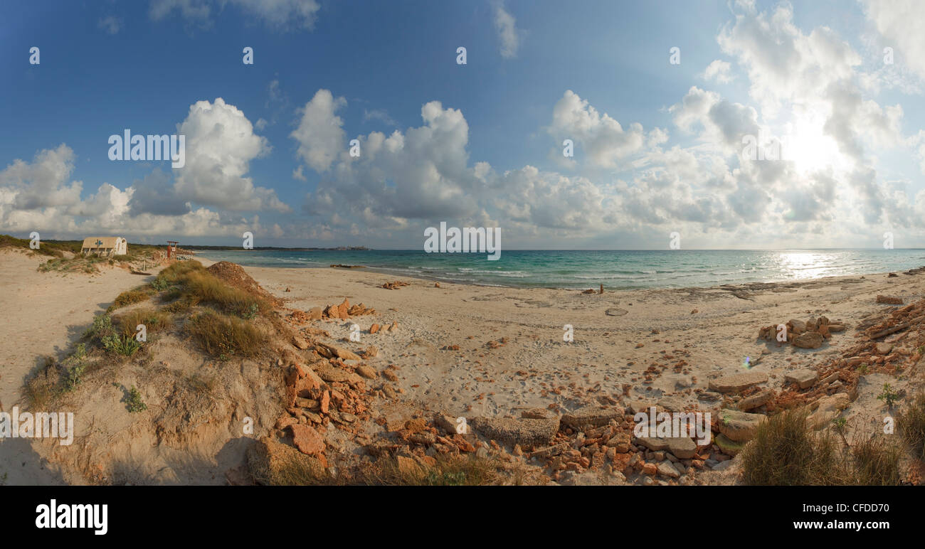 Es Trenc, playa, spiaggia, vicino a Colonia de Sant Jordi, Maiorca, isole Baleari, Spagna, Europa Foto Stock