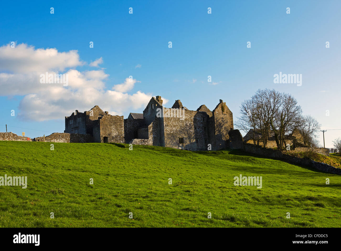 Il vecchio castello di Beaupre, Vale of Glamorgan, Wales, Regno Unito Foto Stock