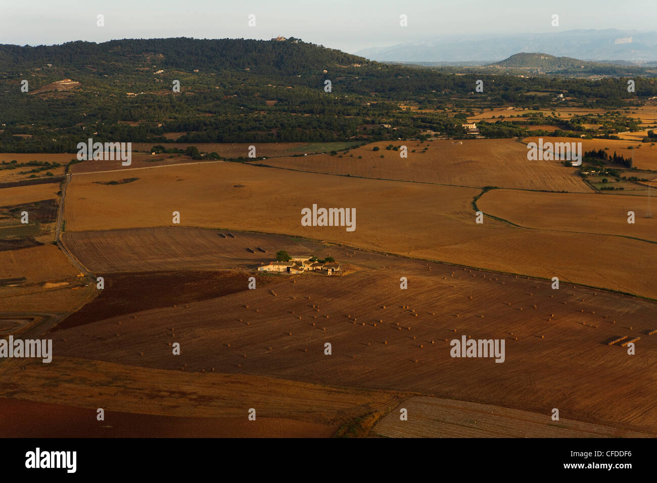 Volo in mongolfiera, il palloncino ride, Mallorca Ballons, pianura Es Pla, Maiorca, isole Baleari, Spagna, Europa Foto Stock