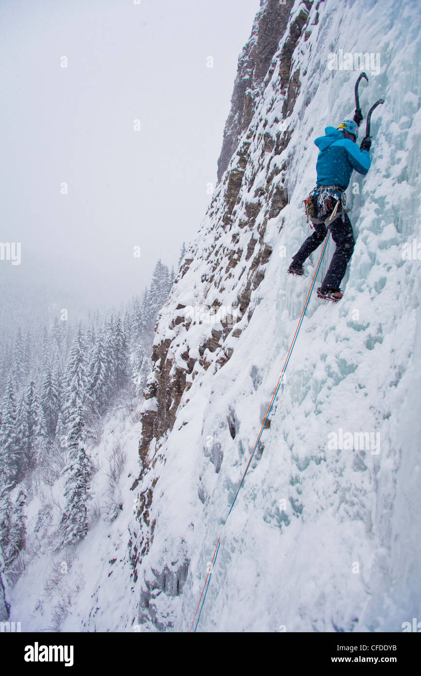 Un forte scalatore femmina salite di ghiaccio Moonlight WI4, anche Thomas Creek, Kananaskis, Alberta, Canada Foto Stock