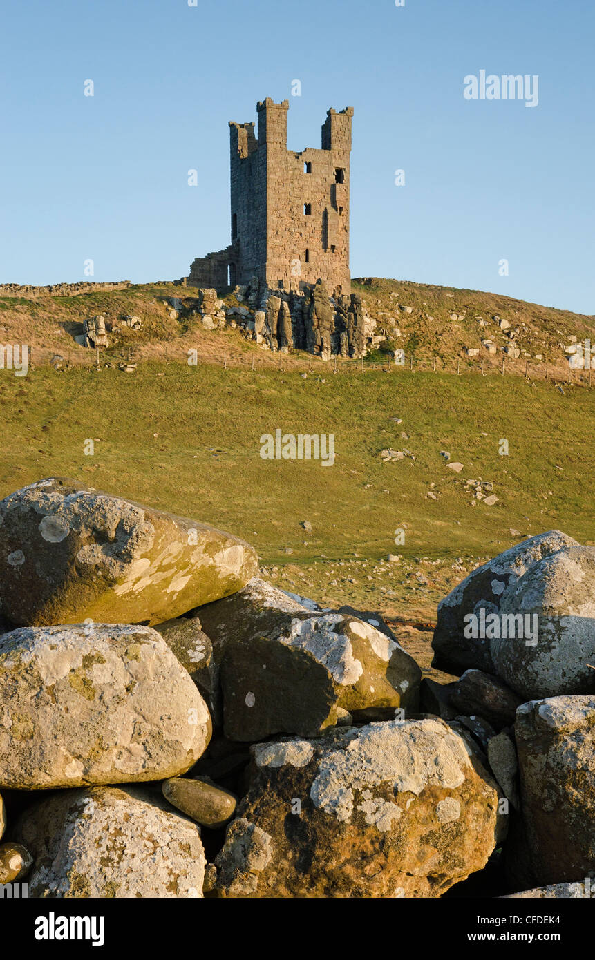 Il castello di Dunstanburgh tenere Foto Stock