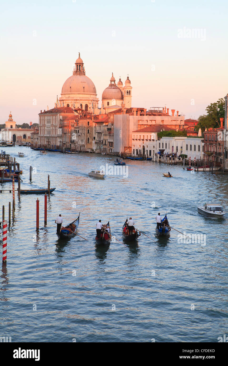 Le gondole del Canal Grande, vista verso la chiesa a cupola di Santa Maria della Salute, Venezia, Veneto, Italia Foto Stock