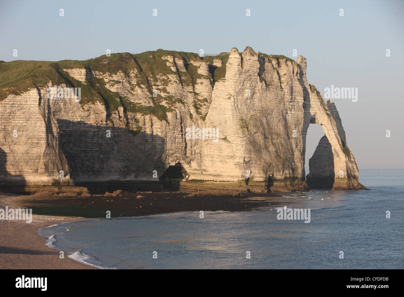 Scogliere di Etretat, Cote d'alabastro, Seine-Maritime, in Normandia, Francia, Europa Foto Stock