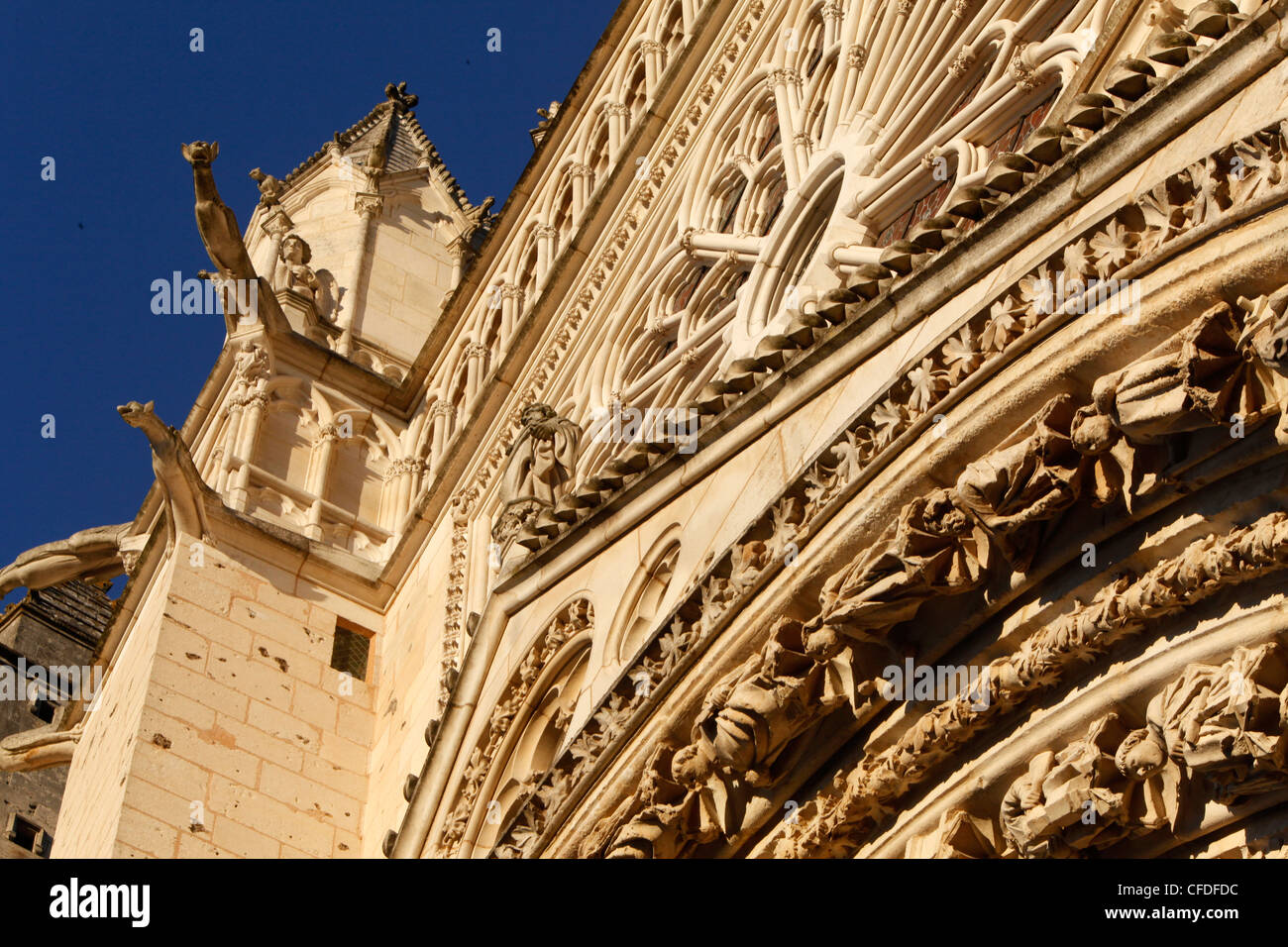 San Pietro e la cattedrale di San Paolo, Poitiers, Vienne, Poitou-Charentes, Francia, Europa Foto Stock