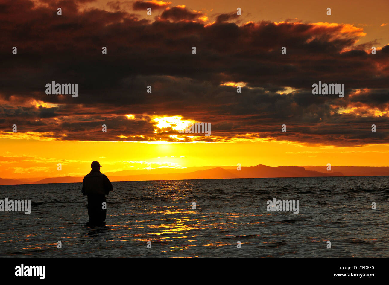 L'uomo la pesca con la mosca, il lago Taupo, Isola del nord, Nuova Zelanda Foto Stock