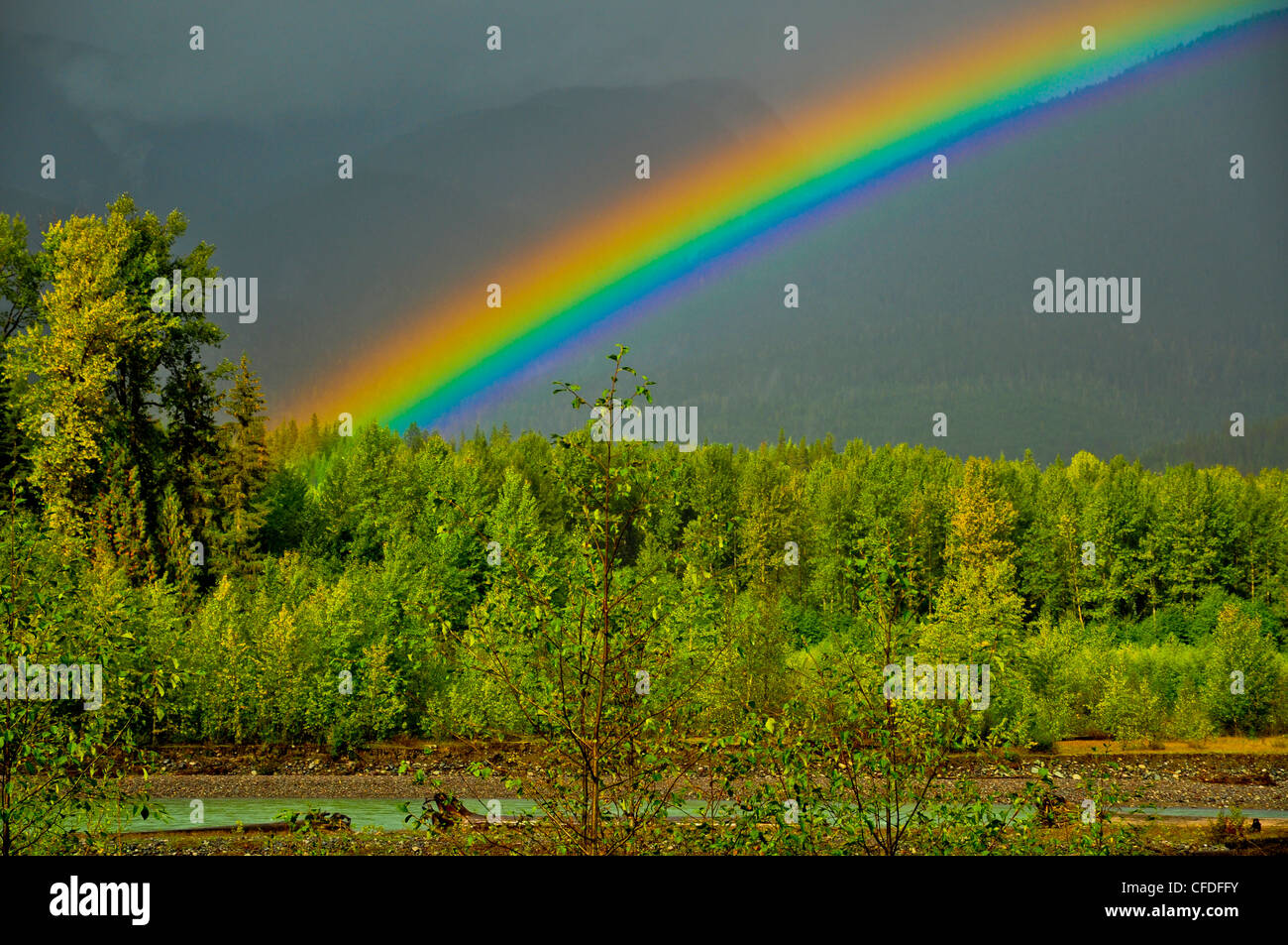 Rainbow, rame River, British Columbia, Canada Foto Stock