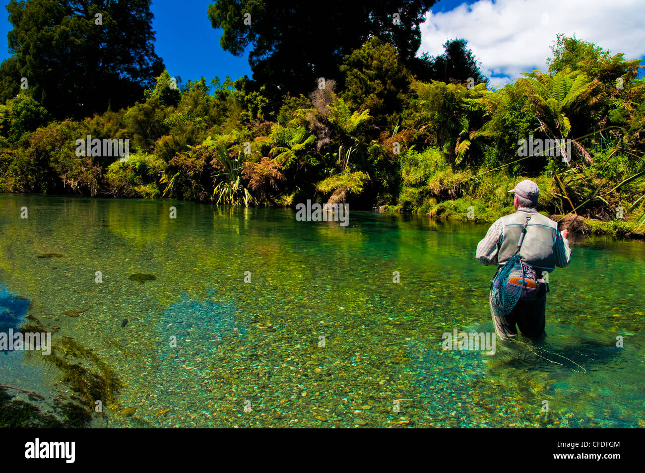 Uomo di Pesca a Mosca Report di Pesca, Spring Creek, Isola del Sud, Nuova Zelanda Foto Stock