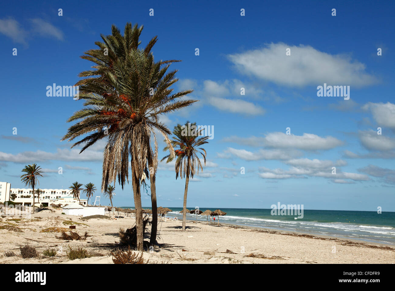 Zona turistica spiagge sulla costa mediterranea, Djerba, Tunisia, Africa Settentrionale, Africa Foto Stock