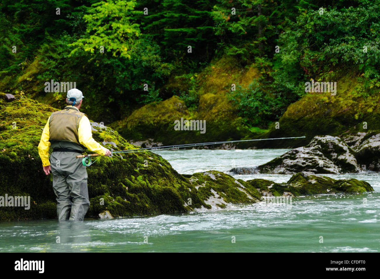 Uomo di Pesca a Mosca Report di Pesca di fiume in rame, British Columbia, Canada Foto Stock