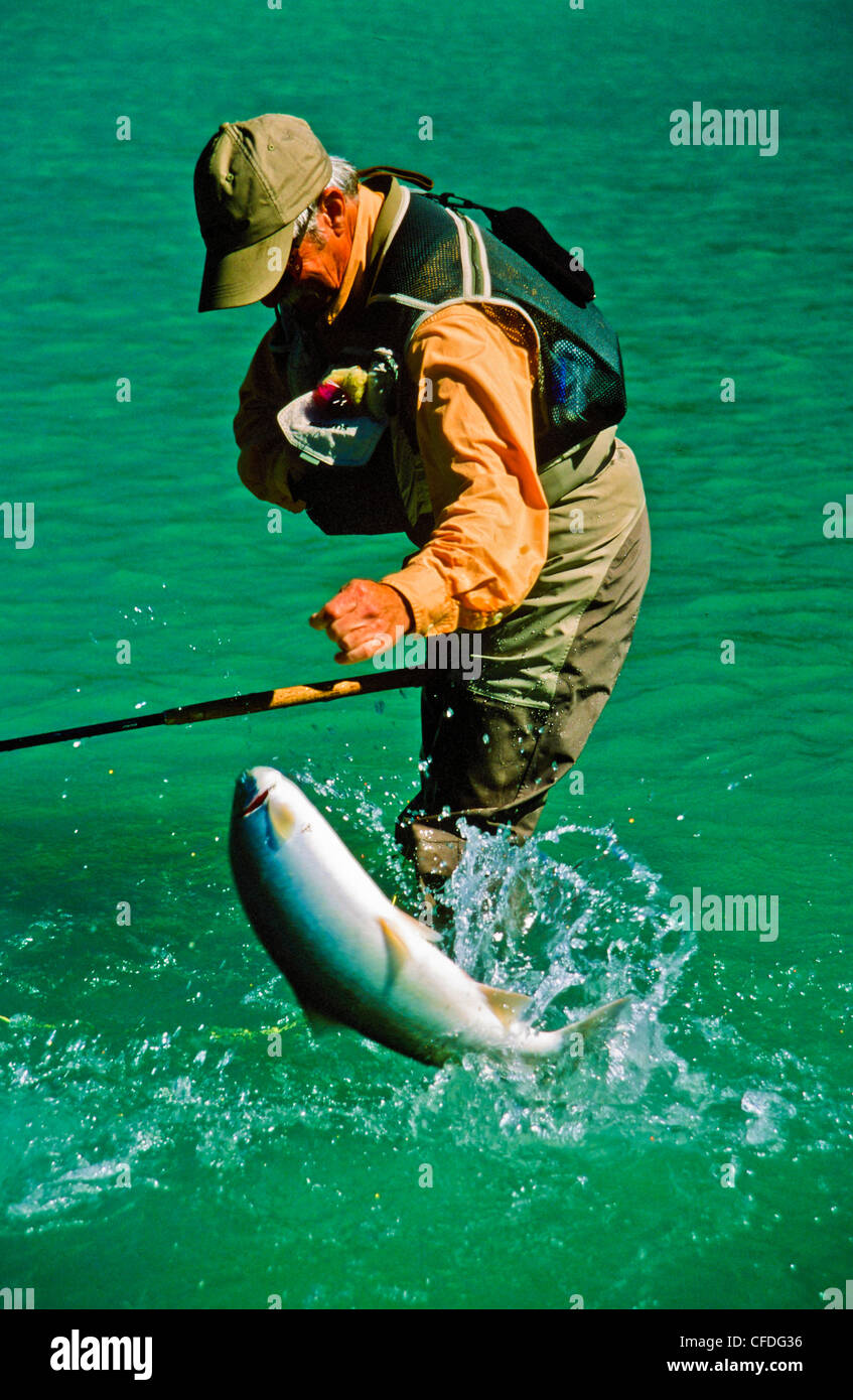 Uomo di Pesca a Mosca Report di Pesca, Dean River, British Columbia, Canada Foto Stock