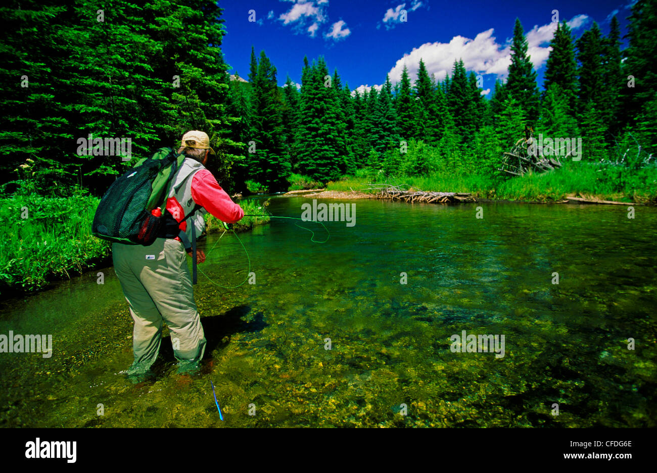 Uomo di Pesca a Mosca Report di Pesca, Alexander Creek, British Columbia, Canada Foto Stock