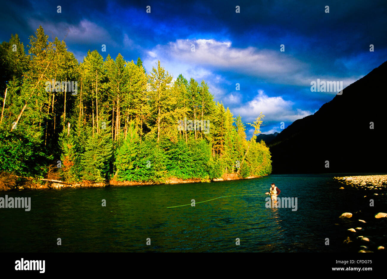 Uomo di Pesca a Mosca Report di Pesca,Fiume di rame, British Columbia, Canada Foto Stock