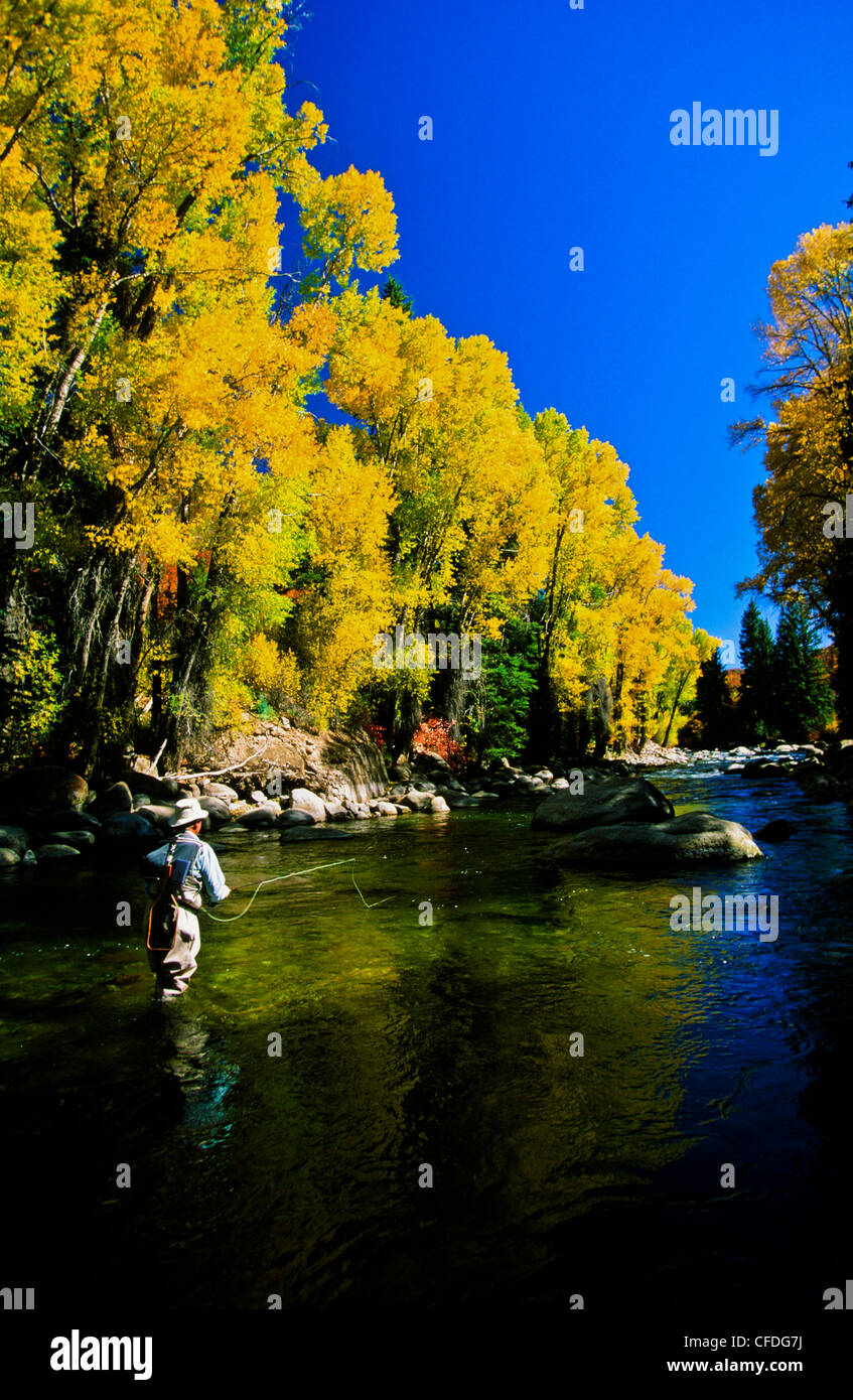 Uomo di Pesca a Mosca Report di Pesca, Roaring Fork River, Colorado, Stati Uniti d'America Foto Stock
