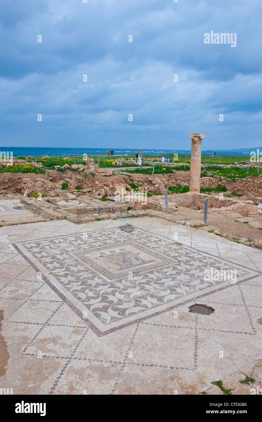 Mosaici presso il sito archeologico, Paphos, Sito Patrimonio Mondiale dell'UNESCO, Cipro, Europa Foto Stock