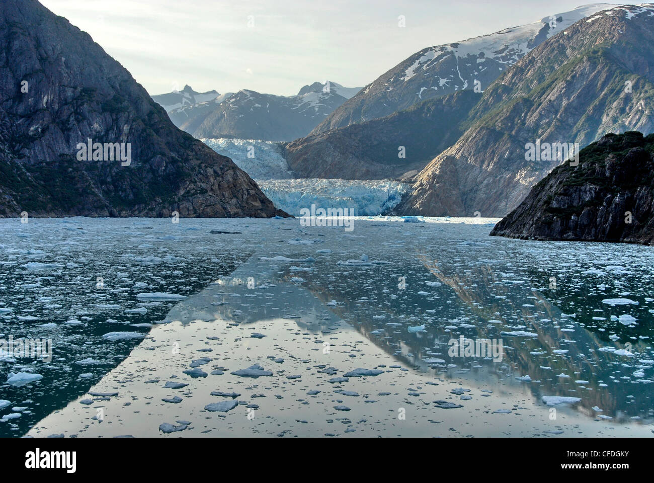 Sawyer ghiacciaio al capo di Tracy Arm Fjord vicino a Juneau in Alaska, Foto Stock