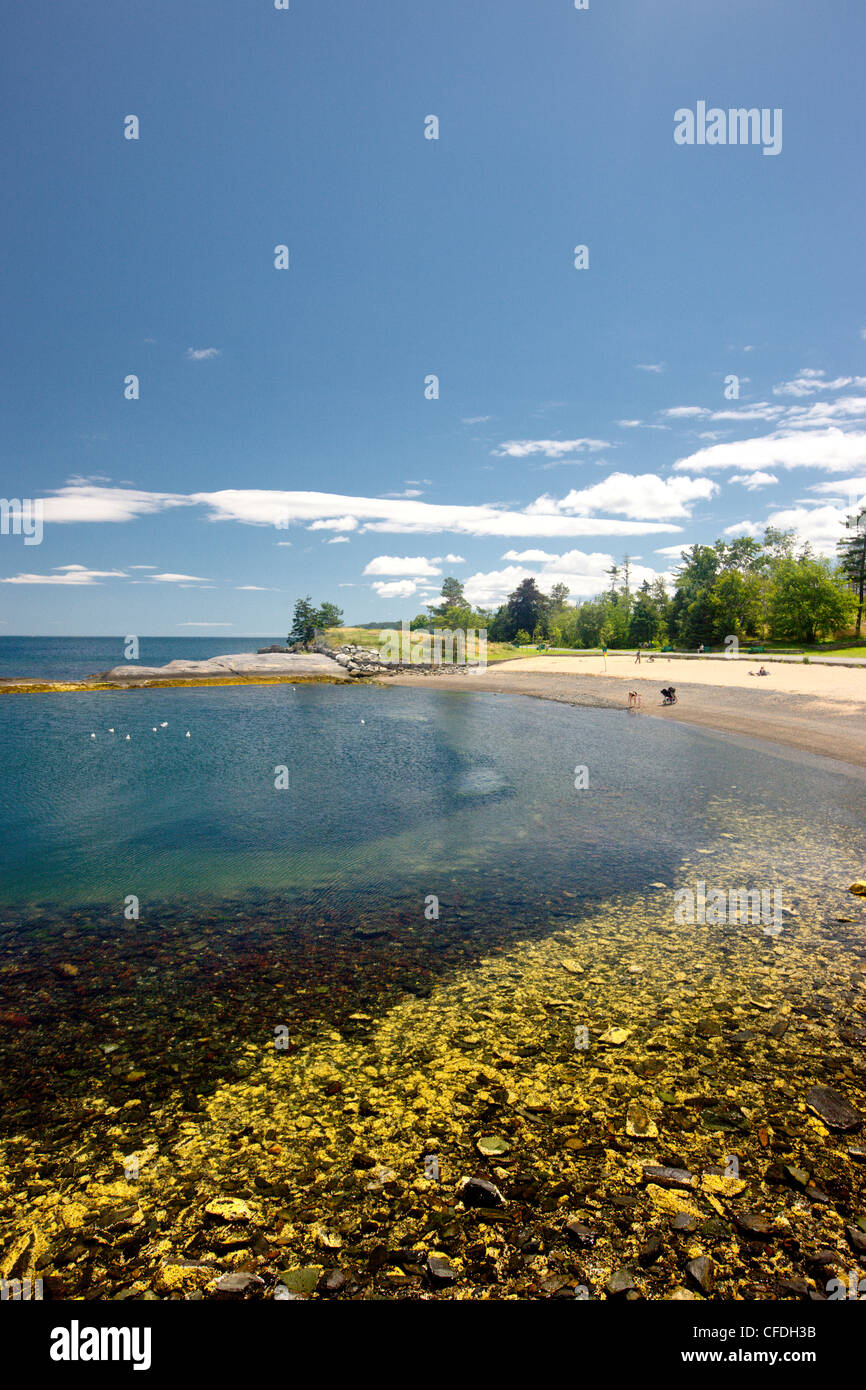 Spiaggia, Point Pleasant Park, Halifax, Nova Scotia, Canada Foto Stock