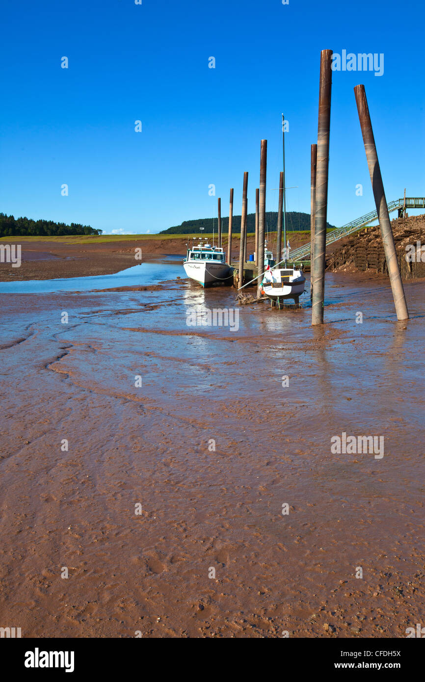 Barche da pesca legato fino al pontile a bassa marea, cinque isole, Nova Scotia, Canada Foto Stock