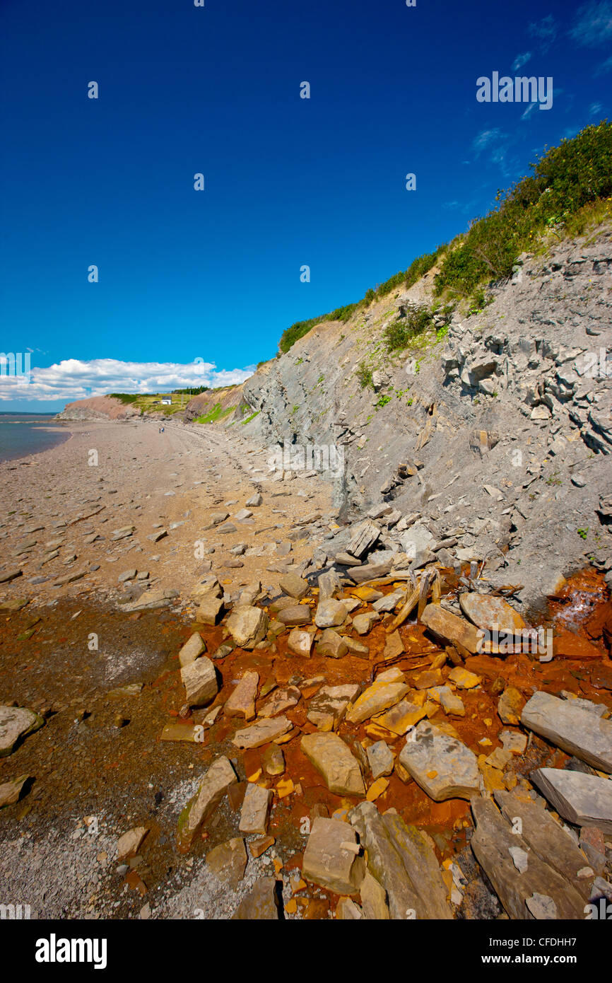 Falesie fossilifere di Joggins, Baia di Fundy, Nova Scotia, Canada Foto Stock