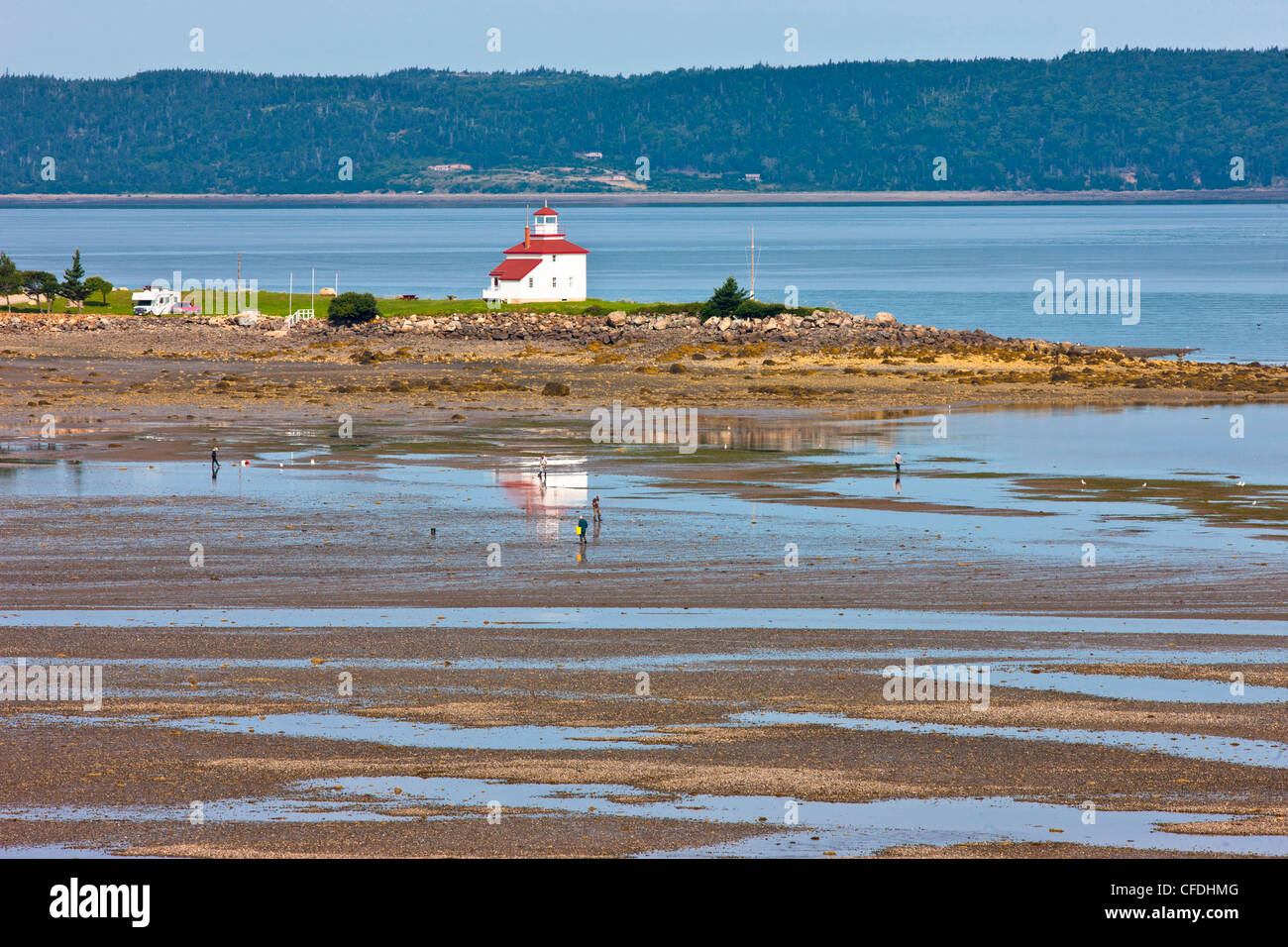 Scavo di vongole, Gilbert Cove, Baia di Fundy, Nova Scotia, Canada Foto Stock