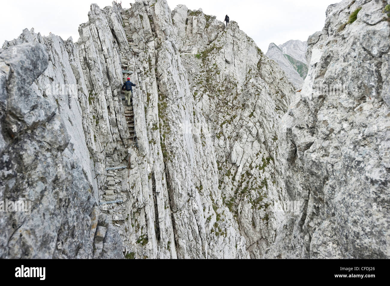 Persone alla via ferrata, Alpsteingebirge, Saentis, Appenzeller Land, Svizzera, Europa Foto Stock