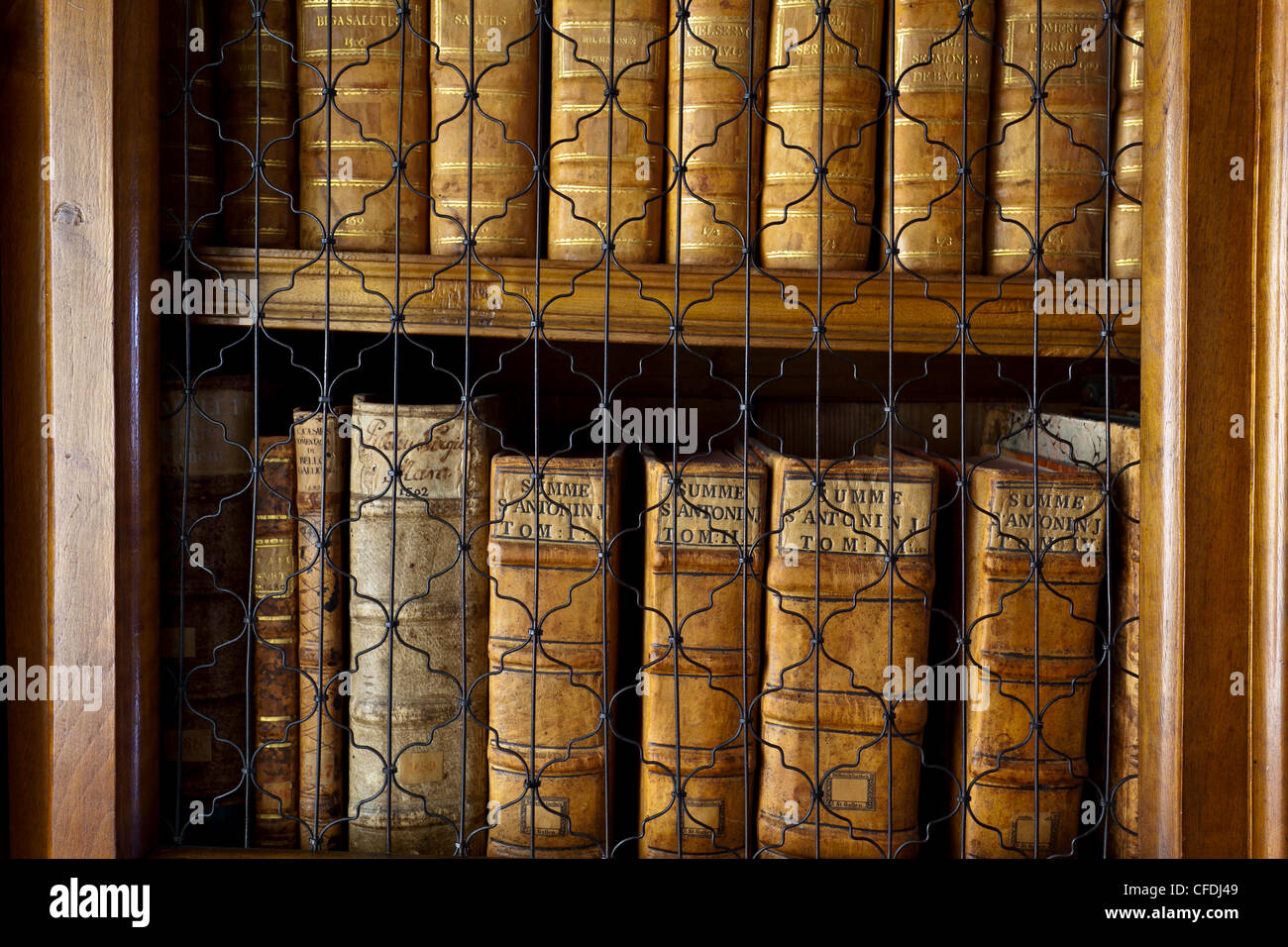 Close-up di libri in stile rococò biblioteca abbaziale di San Gallo, Svizzera Foto Stock