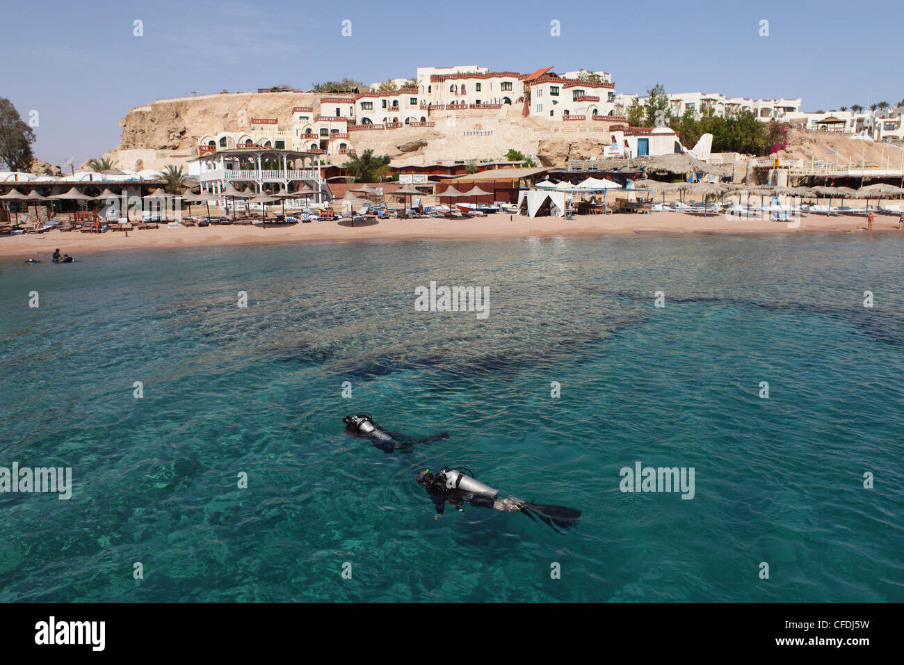Subacquei godetevi le chiare acque del Mar Rosso a Sharks Bay, a Sharm el-Sheikh, Sinai South, Egitto, Africa Settentrionale, Africa Foto Stock