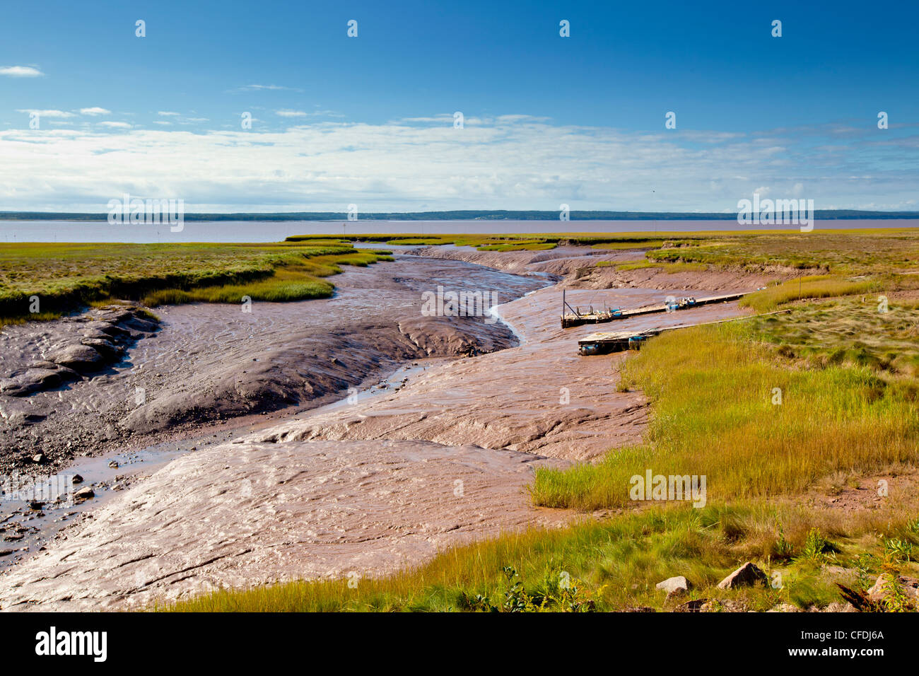 Wharf a bassa marea, legno punto, Baia di Fundy, New Brunswick, Canada Foto Stock