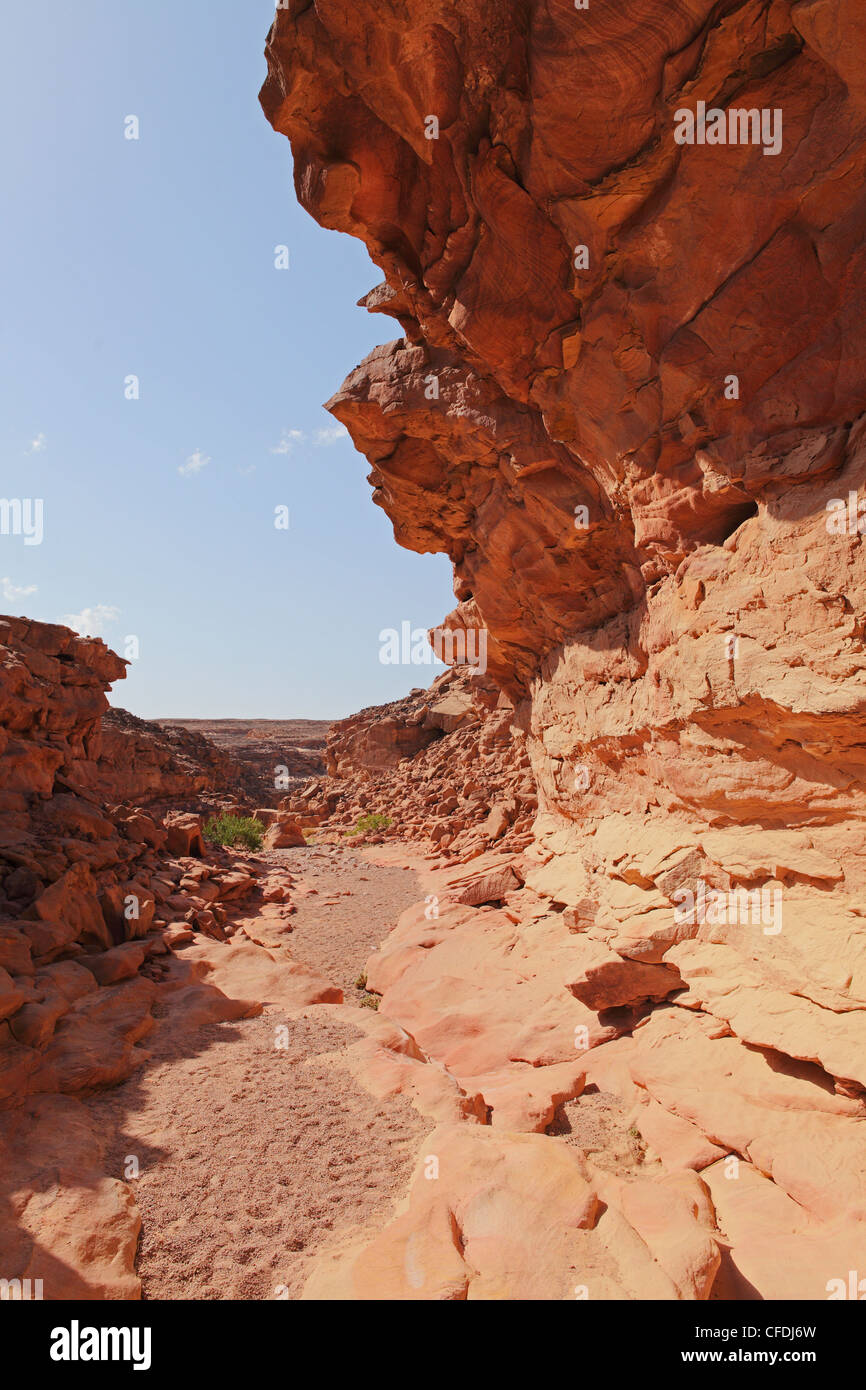 Erosione aiuta a formare splendide formazioni in rocce rosse del Canyon Colorato, Sinai South, Egitto, Africa Settentrionale, Africa Foto Stock