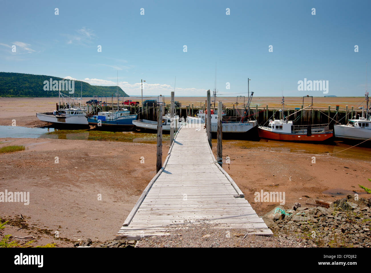 Barche da pesca a bassa marea, Avvocato Harbour e della Baia di Fundy, Nova Scotia, Canada Foto Stock