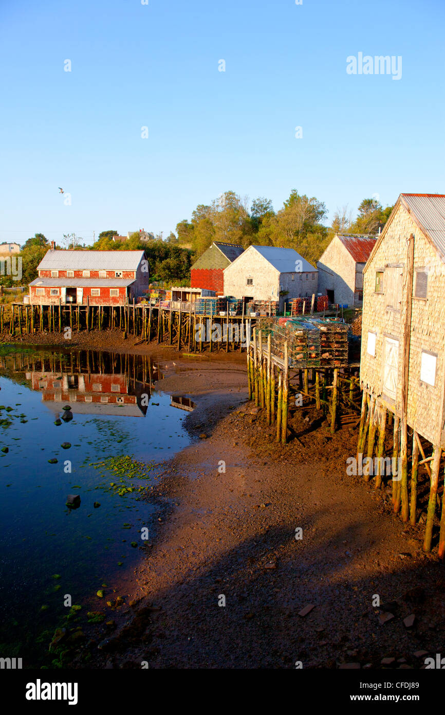 Wharf e pesca capannoni, Guarnizione Cove, Grand Manan Island, Baia di Fundy, New Brunswick, Canada Foto Stock