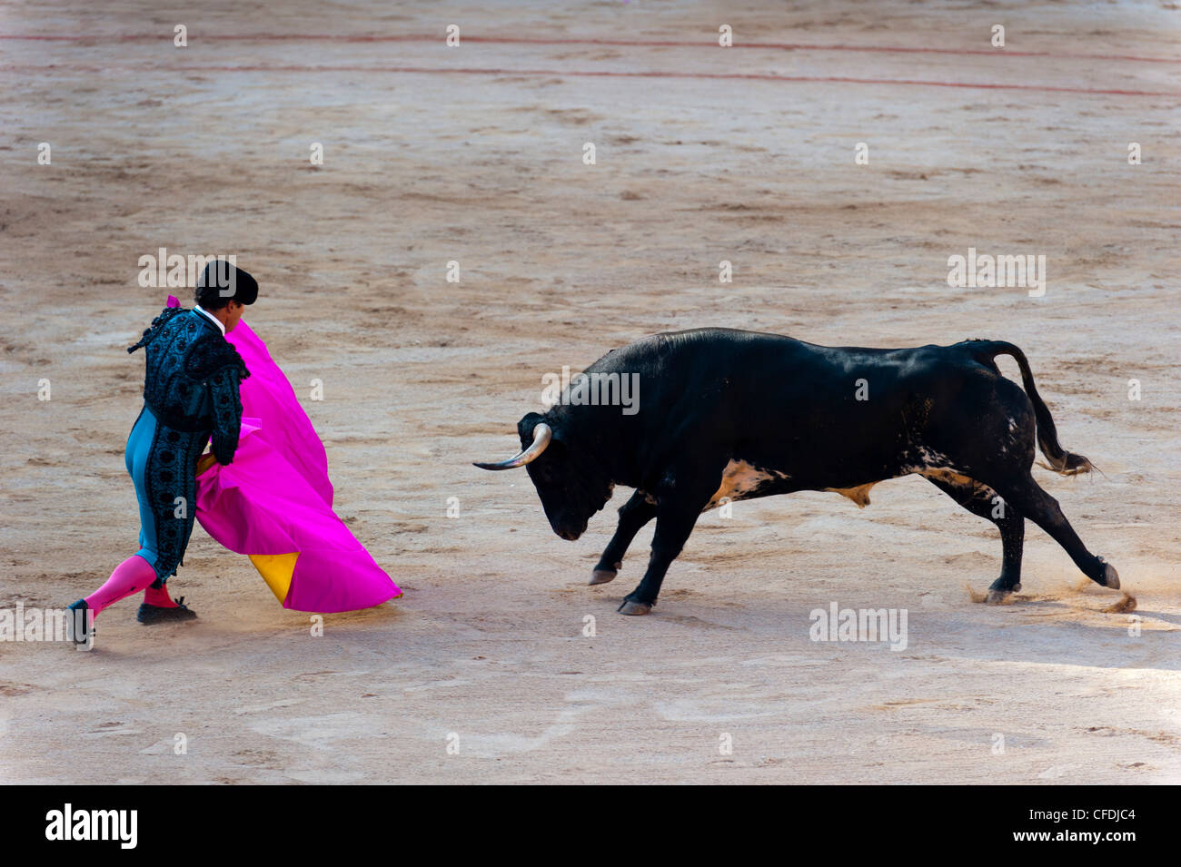 La corrida con mattatori, San Fermin festival, Pamplona, Navarra, Spagna, Europa Foto Stock