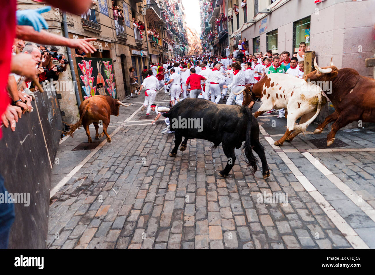 Settimo Encierro (corsa dei tori), San Fermin festival, Pamplona, Navarra (Navarra), Spagna, Europa Foto Stock