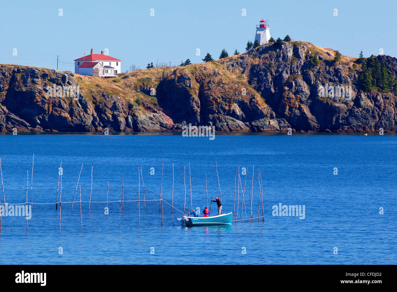 I ricercatori controllo weir reti per intrappolato focena, testa del Nord, Grand Manan Island, Baia di Fundy, New Brunswick, Canada Foto Stock