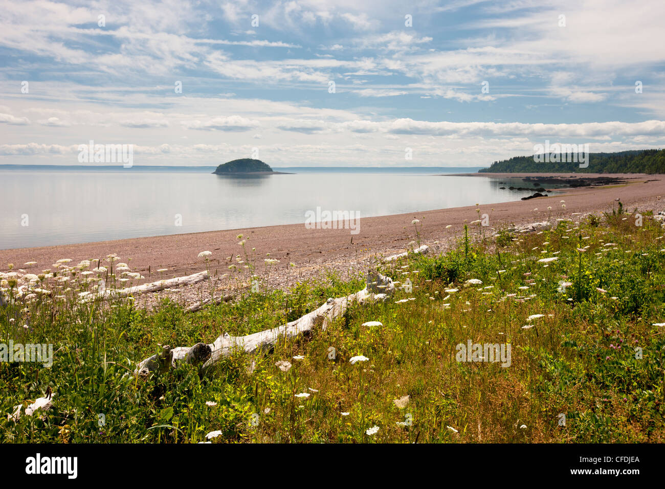 L'avvocato Harbour Beach, Baia di Fundy, Nova Scotia, Canada Foto Stock