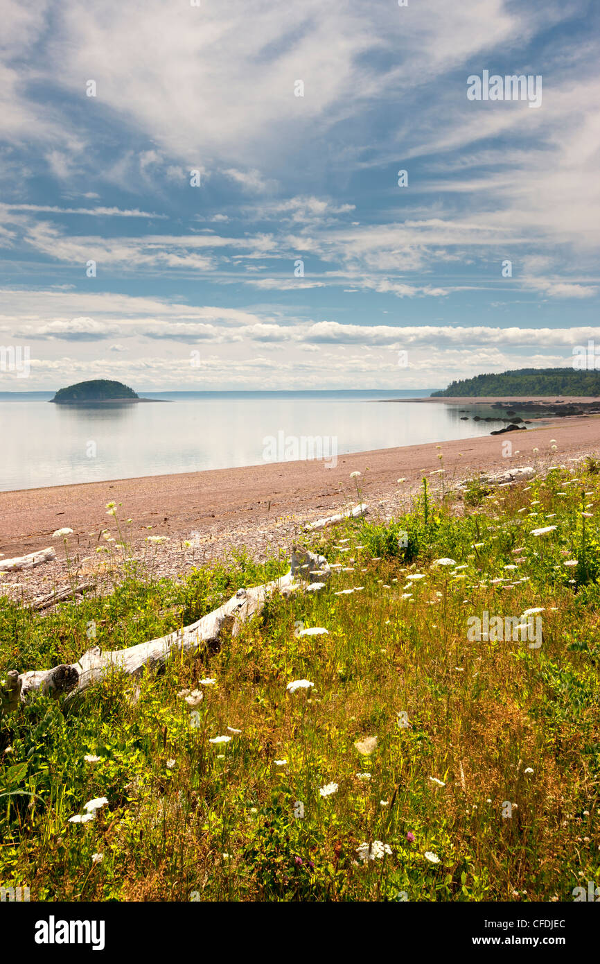 L'avvocato Harbour Beach, Baia di Fundy, Nova Scotia, Canada Foto Stock