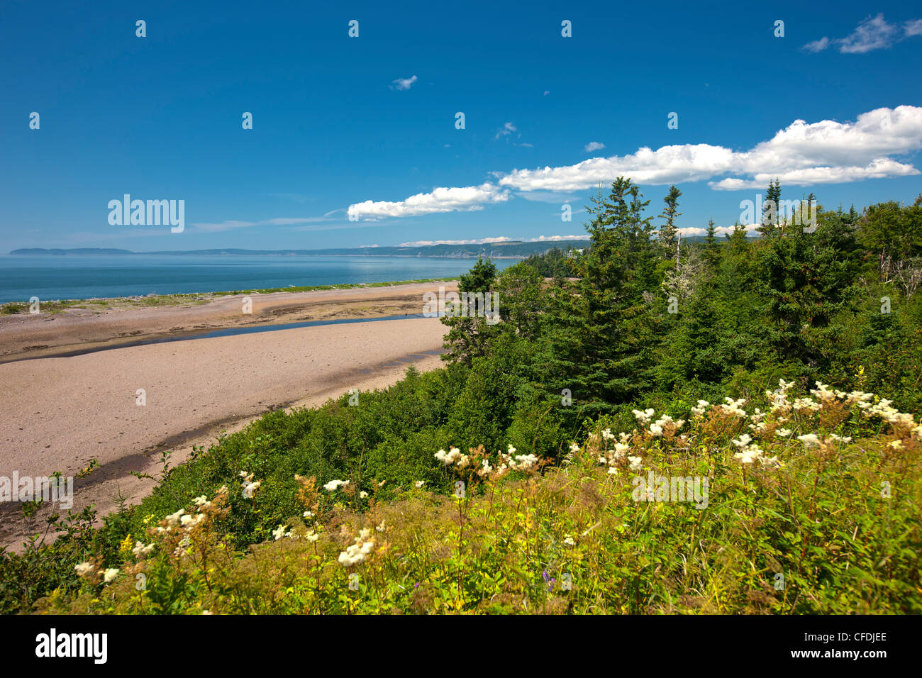 Costa, Porto Greville, Baia di Fundy, Nova Scotia, Canada Foto Stock