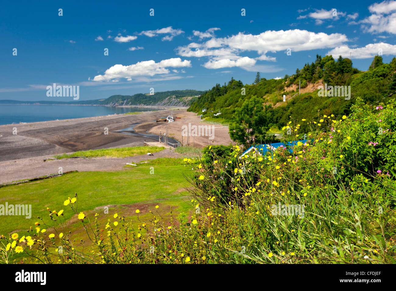 Costa, Porto Greville, Baia di Fundy, Nova Scotia, Canada Foto Stock