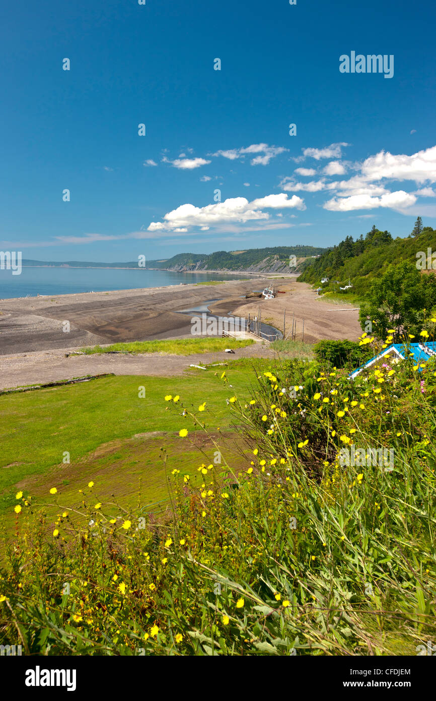 Costa, Porto Greville, Baia di Fundy, Nova Scotia, Canada Foto Stock