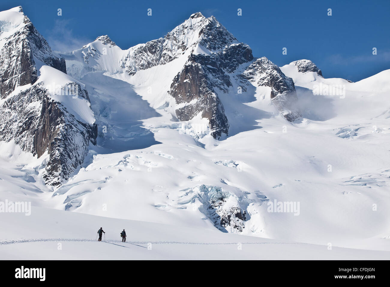 Gli sciatori Backcountry ski touring in Selkirk intervallo vicino la Fata Prati Backcountry capanna, British Columbia, Canada. Foto Stock