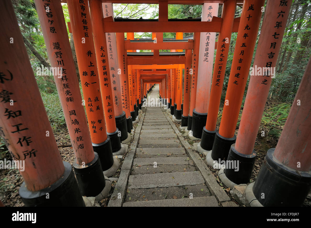 Scale sotto red torii gate a Fushimi Inari Shrine, Kyoto, Giappone Foto Stock