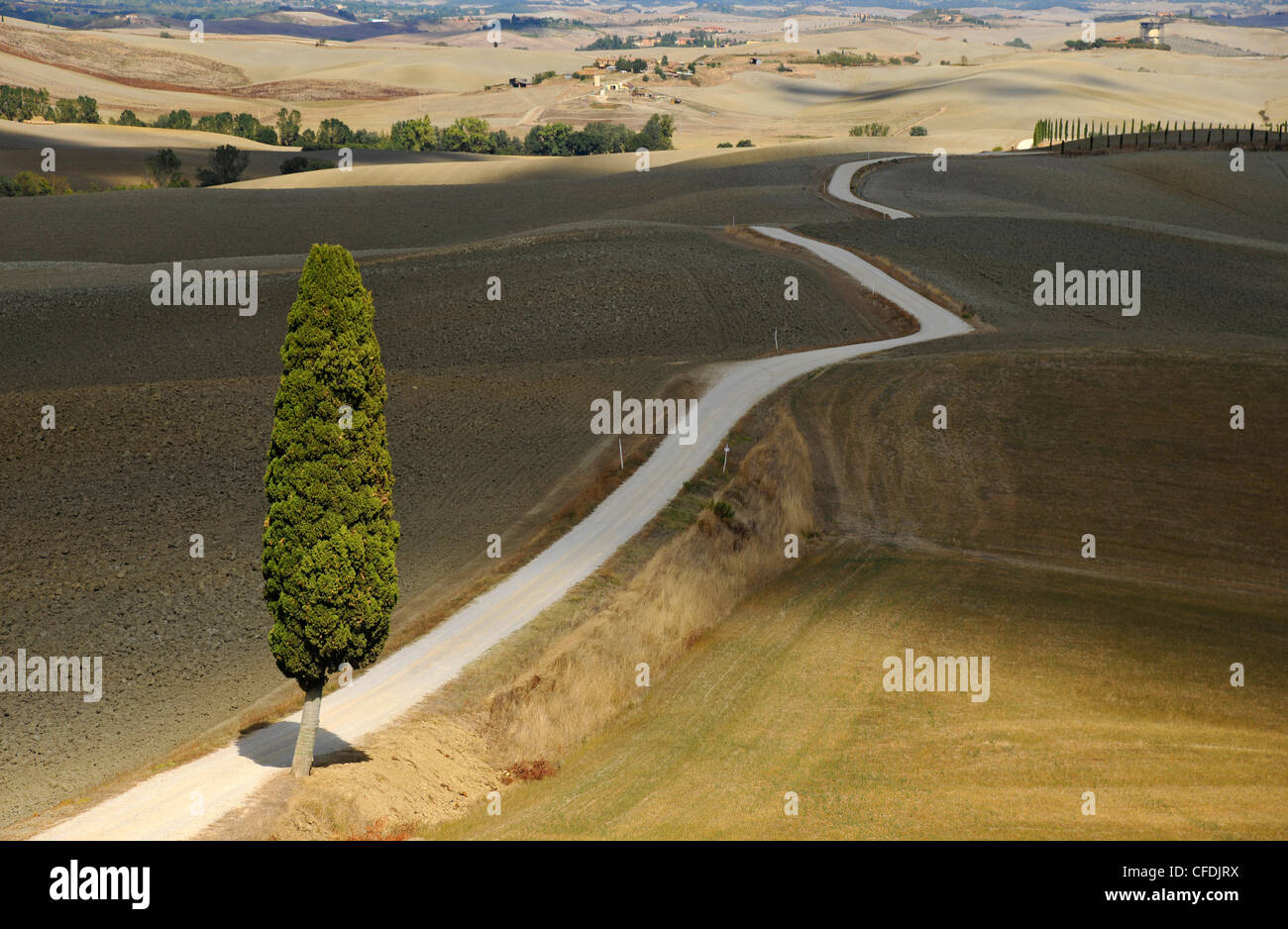 Strada di campagna in un paesaggio collinare, Creta, Toscana, Italia, Europa Foto Stock