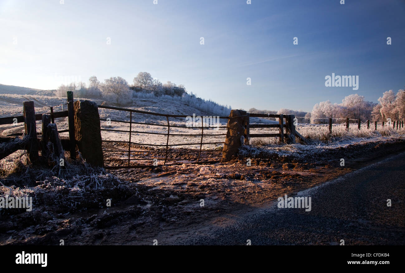 Fattoria da strada sulla gelida mattinata invernale Foto Stock